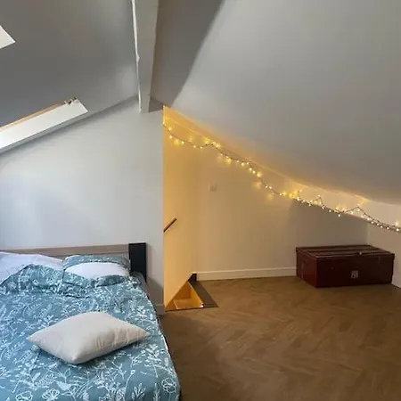 Grand Appart Traversant/ 10mn Gare De Lyon/ Chic Alfortville